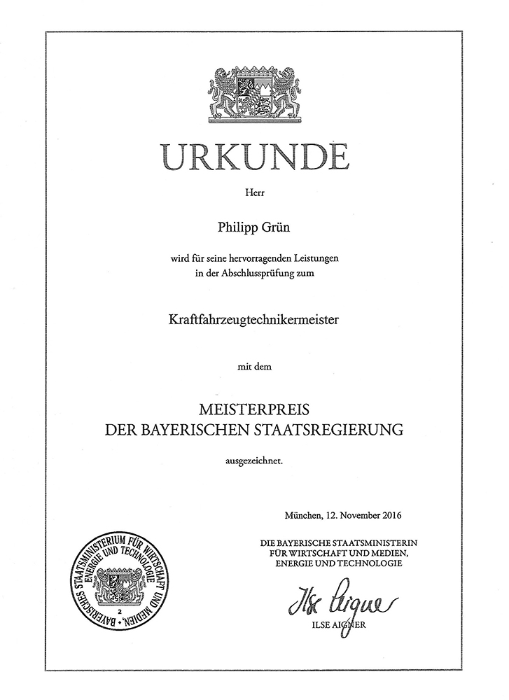 servicetechniker gruen 2
